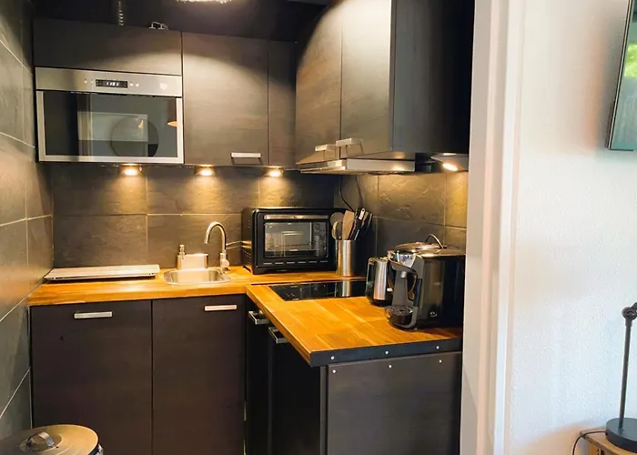 Aux Flots Bleus Avec Balcon Et Vue Sur 公寓 滨海图维列